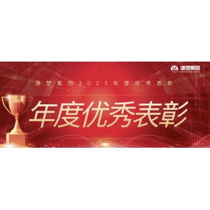 榜样力量｜源梦集团2025年度优秀个人+团队表彰