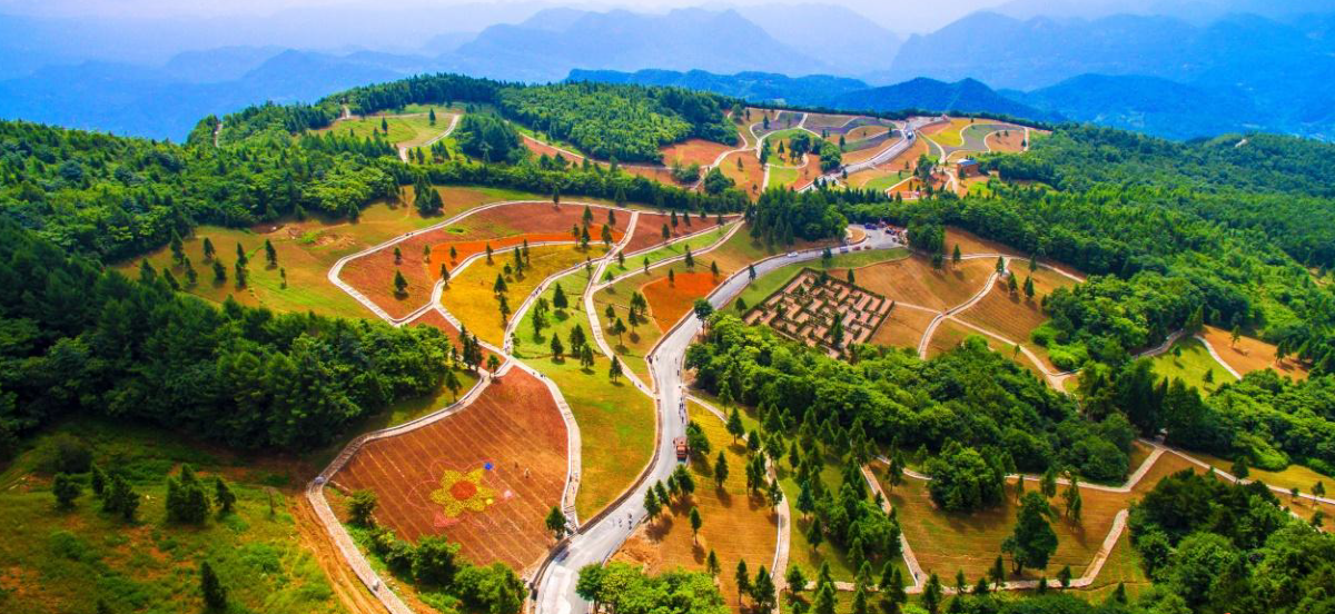 野三关源梦森林小镇